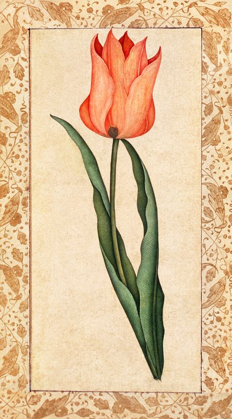 Arabic Wallpaper, Free Illustration Images, Tulip Flower, Summer Landscape, Islamic Pattern, Los Angeles County, Flower Illustration, Iphone Wallpapers, Museum Of Art