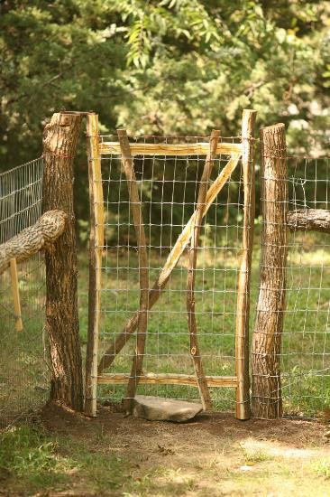 Garden Gate Decor, Diy Dog Fence, Fence Diy, Garden Gates And Fencing, Garden Gate Design, Rustic Fence, Diy Fence, Front Yard Fence, Modern Fence