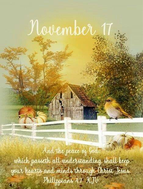 #Fr3555 #November17 2020 #15284 (2019) #Philippians4:7 KJV #DailyBlessing www.facebook.com/groups/FriendsofJudiann November 17 Quotes, November 17 Bible Verse, November 17 Blessings, November Prayer, November Scripture, November Blessings, December Scriptures, November Images, Philippians 4 7