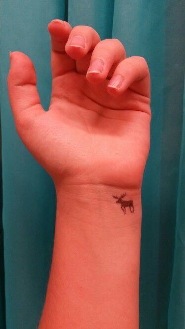 10+ Small Moose Tattoo Designs | PetPress Cute Moose Tattoo, Moose And Squirrel Tattoo, Tiny Moose Tattoo, Canada Tattoo Ideas, Alaska Tattoo Ideas, Alaska Tattoos, Moose Tattoos, Maine Tattoo, Alaska Tattoo