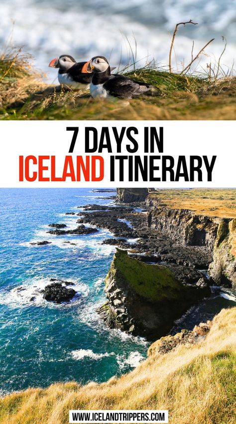 7 Days in Iceland Itinerary 7 Days In Iceland, 5 Days In Iceland, Places To Visit In Iceland, Iceland Travel Itinerary, Iceland Honeymoon, Things To Do In Iceland, 7 Day Itinerary, Travel Iceland, Iceland Travel Guide