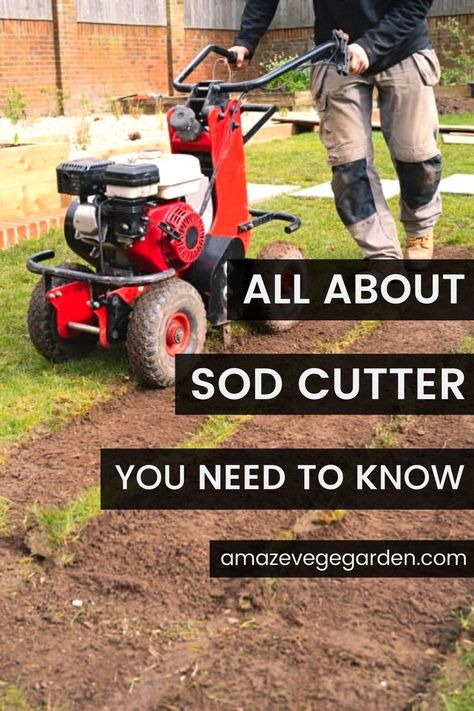 Removing Sod, Start A Garden, Lawn Care Tips, Lawn And Landscape, Starting A Garden, Drought Tolerant Plants, Drought Tolerant, Lawn Care, Garden And Yard