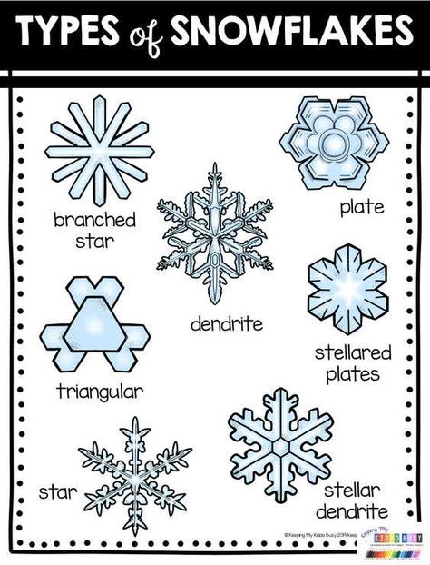 Snowflake Inquiry Kindergarten, Snow Flake Activities For Preschoolers, Winter Science Kindergarten, Snow Steam Activities, Snow Unit Study, Snow Inquiry Kindergarten, Snow Activities For Kindergarten, Snowflake Activities For Kids, Snowflakes Kindergarten