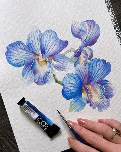 ANNA 🌺 BUCCIARELLI (@anna.m.bucciarelli) • Instagram photos and videos Orchid Drawing, Orchids Painting, Dragonfly Painting, Watercolor Flowers Tutorial, Instagram Add, Flowers Tutorial, Watercolour Flowers, Orange Bird, Dragonfly Art