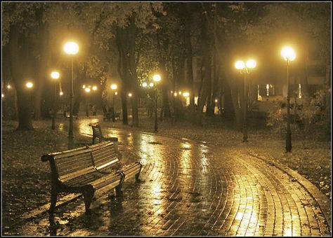 http://beatmaker.tv/Default/General/Image/18134?type=BeatImageOriginal&ver=0 Bench Aesthetic, Rainy Street, Scenic Pictures, Lockwood And Co, Street Lights, Rainy Night, Visual Aesthetics, Night Painting, Cinematic Photography