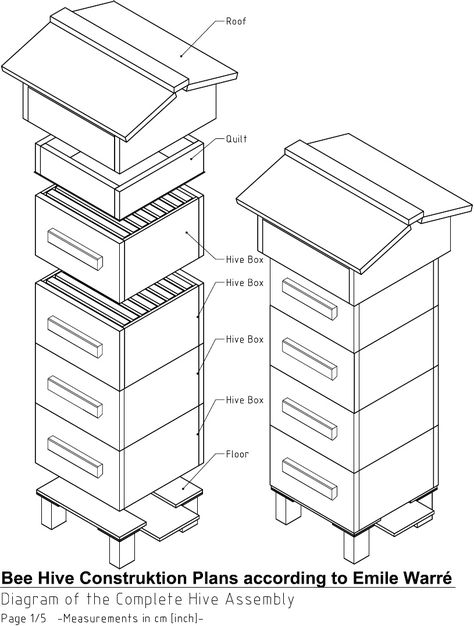 Warre Hive Plans English | Scribd Warre Hive, Bee Equipment, Stingless Bees, Bee Hive Plans, Raising Bees, Bee Supplies, Bee Swarm, Bee Hives, Bee Boxes