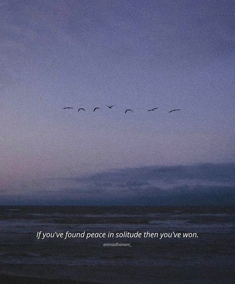 If you’ve found peace in solitude then you’ve won. Conscious Conversations, Minimal Quotes, Purpose Quotes, Place Quotes, Short Meaningful Quotes, One Line Quotes, Belief System, Weather Quotes, Dark Nights