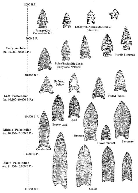 Native American Indian Arrowheads: The Ultimate Informational Guide Clovis Point, Ancient Artifacts Prehistoric, Paleo Indians, Native American Tools, Arrowheads Artifacts, Ancient Tools, Stone Tools, Indian Artifacts, Native American Artifacts