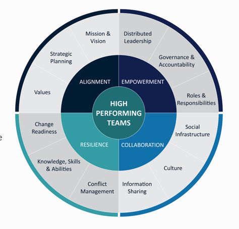 Managing High Performing teams. I have hired Technology talent and… | by Altaf Rehmani | Not So Technical | Medium High Performance Teams, High Performing Teams, Capm Exam, Team Performance, Organization Development, Innovation Management, Performance Management, Team Development, Managing People