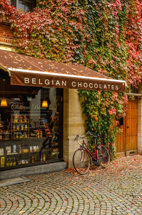 Chocolates? by CHRIS TAYLOR • Follow  Antwerpen, Belgium Brussels Travel, Grecia Santorini, Bruges Belgium, Belgium Travel, Antwerp Belgium, Chocolate Shop, Brussels Belgium, Europe Trip, European Travel