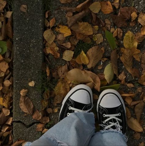 Fallen Leaves, Autumn Aesthetic, White, Black