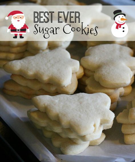 Simple No Refrigerate Sugar Cookies Savory Cornbread Recipe, Russian Tea Cookies, Rolled Sugar Cookie Recipe, Acorn Cookies, Peanut Butter Kiss Cookies, Stained Glass Cookies, Sugar Cookie Recipe Easy, Rolled Sugar Cookies, Almond Extract