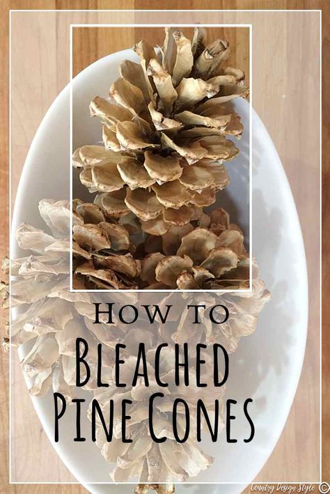 bleached-pine-cones-to-pin-country-design-style-countrydesignstyle-com Pine Cone Ornaments Diy, Christmas Diy Sewing, Diy Christmas Art, Christmas Art For Kids, Christmas Tree Lots, Painted Pinecones, Diy Pinecone, Pine Cone Art, Pine Cone Decorations