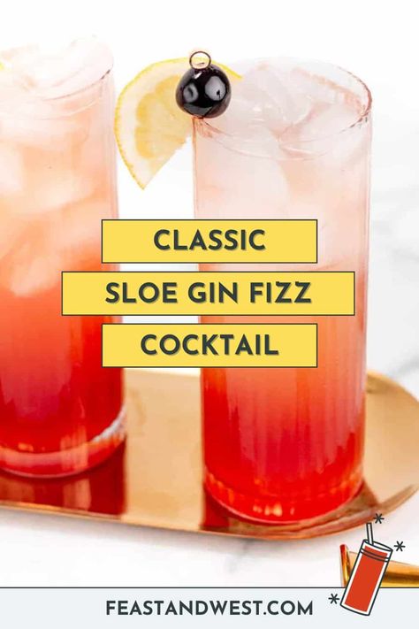 Slow Gin Fizz Recipes, Sloe Gin Fizz Recipe, Slow Gin Fizz, Sloe Gin Recipe, Sloe Gin Cocktails, Sloe Gin Fizz, Gin Fizz Recipe, Alabama Slammer, Sloe Berries