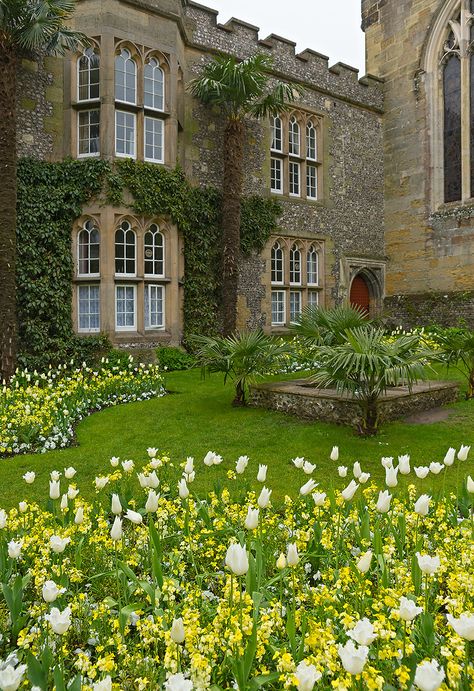 Garden Castle Aesthetic, Castle Courtyard Garden, Boarding School Courtyard, Castle Courtyard Aesthetic, Small Castle Exterior, School Courtyard Aesthetic, Small Castle Aesthetic, Castle Aesthetic Garden, Medieval Castle Courtyard