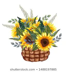 Basket with Flowers Stock Illustrations, Images & Vectors | Shutterstock Viney X Emira, Wildflowers Bouquet, Sunflowers Decor, Bridal Makeup Videos, Basket With Flowers, Quilt Collage, Sunday School Coloring Pages, Basket Drawing, Yellow Wildflowers