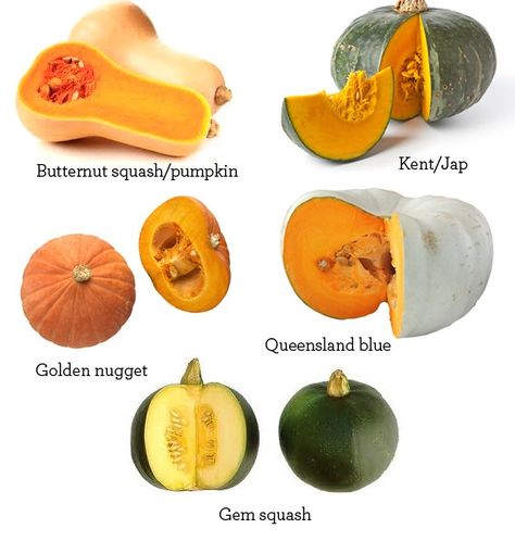 Varieties of the Pumpkin/Squash family Gem Squash, Fresh Pumpkin Recipes, Paleo Pumpkin Recipes, Pumpkin Swirl Cheesecake, Winter Squash Recipes, Types Of Pumpkins, Pumpkin Varieties, Food Variety, Squash Varieties