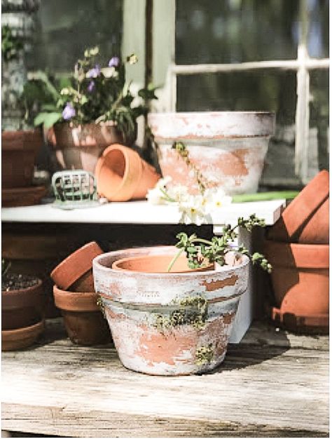 Vintage Clay Pots, Candlelit Bath, Faux Topiary, Moss Paint, Make A Fire Pit, Aging Terra Cotta Pots, Diy Concrete Planters, Painted Clay Pots, Garden Junk