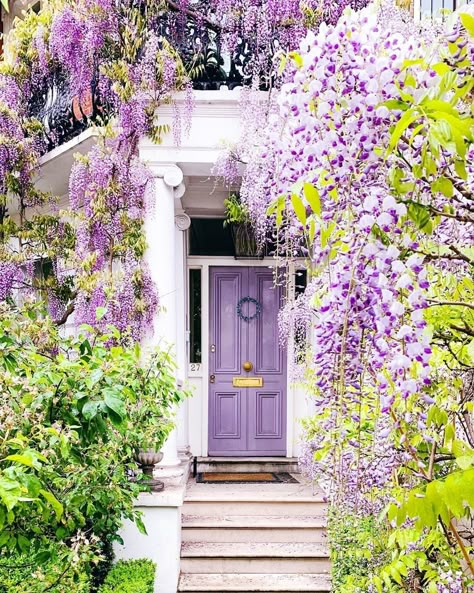 Purple Front Door, Wisteria Trellis, Wisteria Pergola, Wisteria Garden, Veranda Magazine, Wisteria Tree, Purple Door, Trik Fotografi, Beautiful Doors