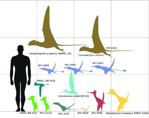 Morrison Formation, Prehistoric Wildlife, Prehistoric Animals, Scientists, Deviantart