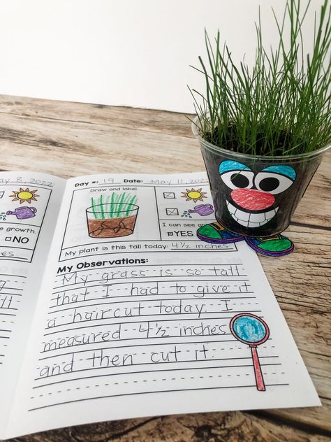 Plants Lesson Plans, Teaching Plants, Plant Experiments, Plants Kindergarten, Head Template, Plants Classroom, Plant Lessons, Seed Craft, Planting For Kids