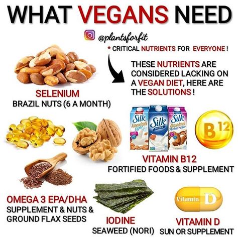 Vitamin B12 Foods, B12 Foods, Desayuno Keto, Vegan Facts, Busy Person, Vegan Vitamins, Why Vegan, Vegan Living, Vegan Nutrition