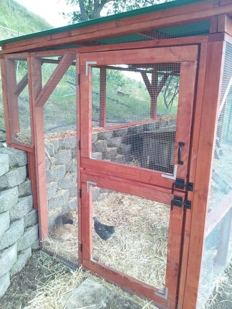 Chicken run with dutch door. Chicken Run Door, Dutch Doors Diy, Building A Chicken Run, Chicken Coop Plans Free, Chicken Door, Backyard Birds Sanctuary, Backyard Animals, Easy Chicken Coop, Chicken Coop Garden