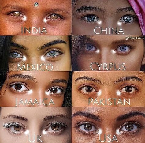 Unique Eye Color, Eyes Type, Different Eye Colors, Different Eye Shapes, All Eye Colors, Heterochromia Eyes, Different Types Of Eyes, Rare Eye Colors, Eye Color Chart