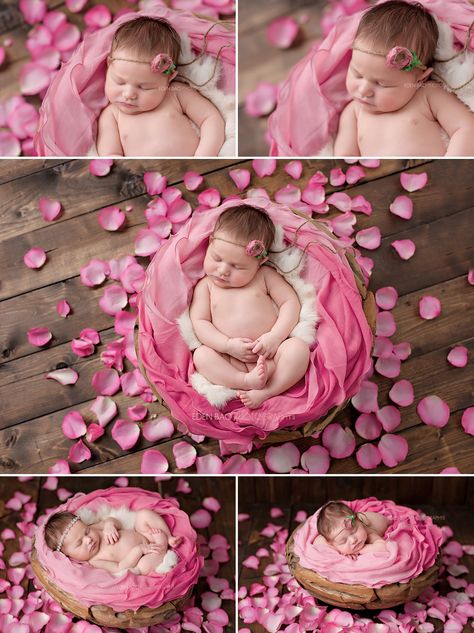 Newborn Professional Photos Seattle pink rose petals Foto Newborn, Baby Fotografie, Baby Pictures Newborn, Photoshoot Locations, Newborn Baby Photoshoot, Baby Poses, Newborn Baby Photos, Professional Photos, Newborn Poses