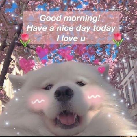 I Love U, Have A Nice Day, Love U, Nice Day, Good Morning, I Love, Humor, Instagram Post, White