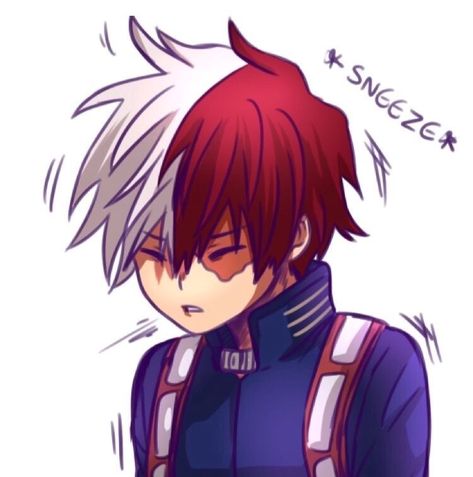 Icy Hot, My Hero Academia Shouto, Hero Wallpaper, My Hero Academia Memes, Buko No Hero Academia, My Hero Academia Episodes, X Reader, Hero Academia Characters, My Hero Academia Manga