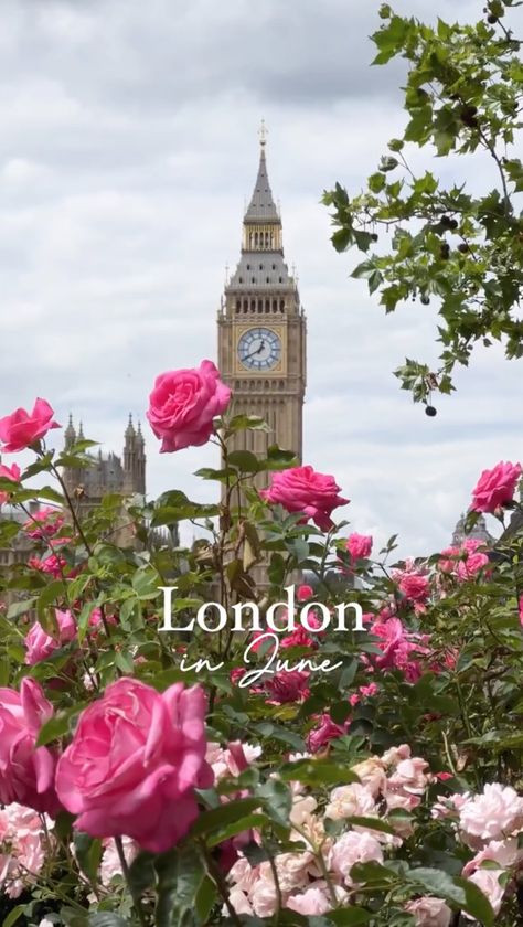 England In Spring, London In Summer, London In The Summer, London In Spring, London In June, Summer In London, Traveling Aesthetic, London Wallpaper, England Aesthetic