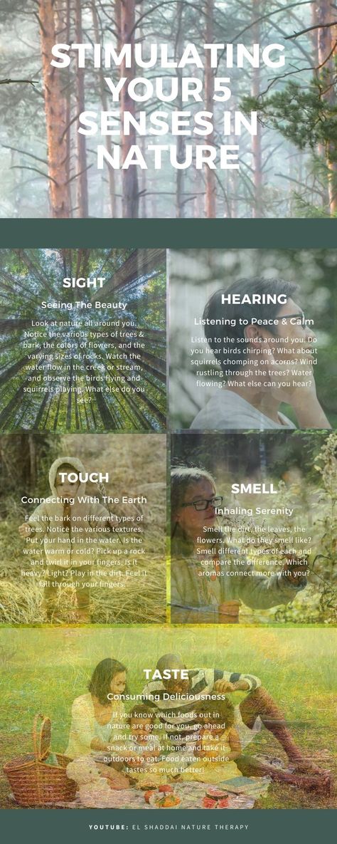 Nature Connection, Forest School Activities, Nature School, 5 Senses, Forest Bathing, Nature Walk, Forest School, Nature Sounds, Youtube Link