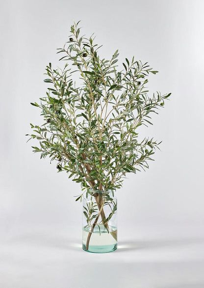 Olive Branch Arrangement, Faux Olive Branches, Home Flower Arrangements, Vase With Branches, Tall Glass Vase, Artificial Branches, Faux Olive Tree, Olive Branches, Herb Pots