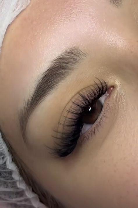 Doll Wispy Lash Extensions, Lash Extensions 2d, 2d Lashes, Lash Types, Natural Fake Eyelashes, Behind Ear Tattoos, Lashes Fake Eyelashes, Lashes Tutorial, Eyelash Tips