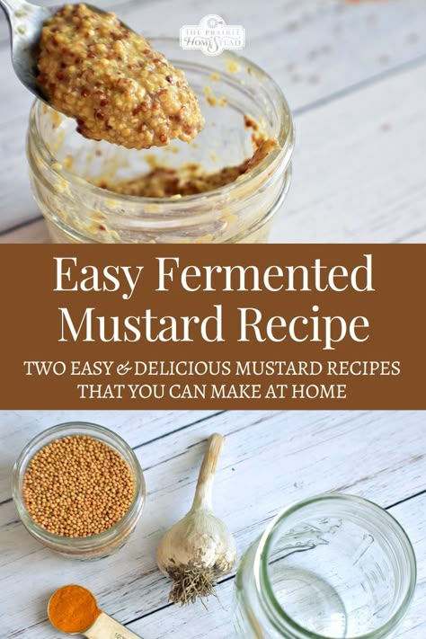 How to Make Fermented Mustard Fermented Mustard, Homemade Mustard, Homemade Sauerkraut, Mustard Recipe, Probiotic Benefits, Fermentation Recipes, Fermented Vegetables, Probiotic Foods, Mustard Seeds