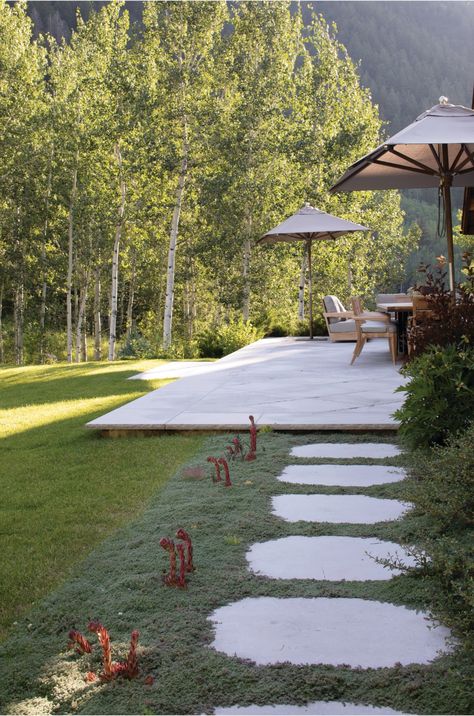 Aspen Colorado Homes, City Backyard, Mountain Garden, Mountain Dream Homes, High Country Gardens, Aspen House, Home Yard, Landscape Designer, Natural Palette