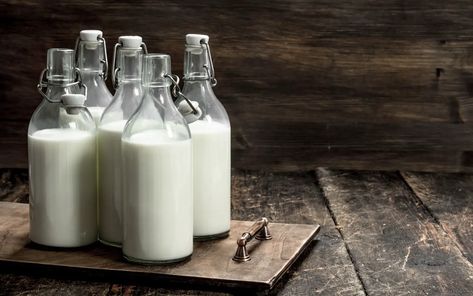 How to Freeze-dry Milk (Goat, Cow, Sheep, Human, Nut) via @backyardhomesteadhq Club Sandwich, Nut Milk, Freeze Drying, One Moment, Emergency Preparedness, Toulouse, Lorraine, Glass Of Milk, Frozen