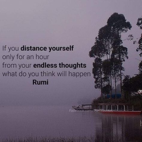 Moulana Rumi, Rumi Quotes Life, Rumi Quotes Soul, Distance Yourself, Rumi Poetry, Rumi Love Quotes, Sufi Mystic, Rumi Love, Rumi Quotes