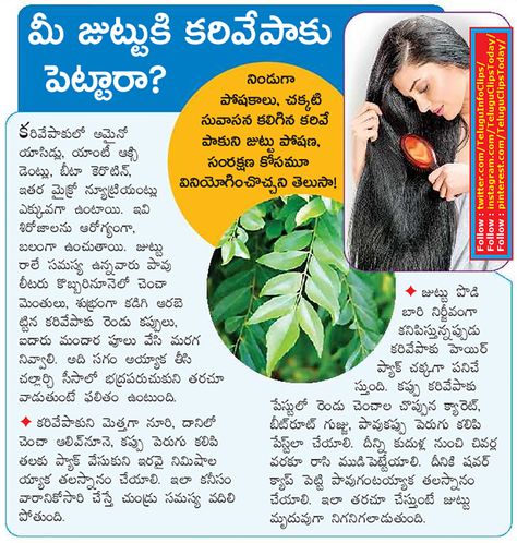 karivepaku uses in hair care tips in telugu Hair Growth Tips In Telugu, Long Hair Tips, Daughter Quotes, Hair Growth Tips, Hair Care Tips, White Hair, Care Tips, Beauty Care, Hair Hacks