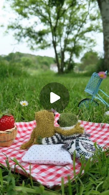 Crochet Frog Video, Frog Knitting Pattern, Frog Knitting, Chloe Core, Knitted Frog, India Rose, Happy Stuff, Crochet Frog, Fairy Pictures