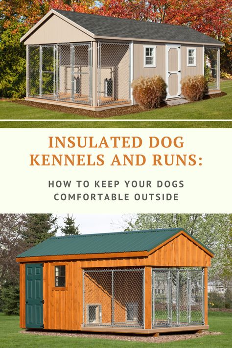 Backyard Dog Kennel Designs, Shed Converted To Dog House, Dog Shed Ideas Outdoor, Dog House Connected To House, Storage Shed Dog House, Nice Dog Kennels Outside, Sheds For Dogs, Shed Into Dog House, Multiple Dog House Ideas Outdoor