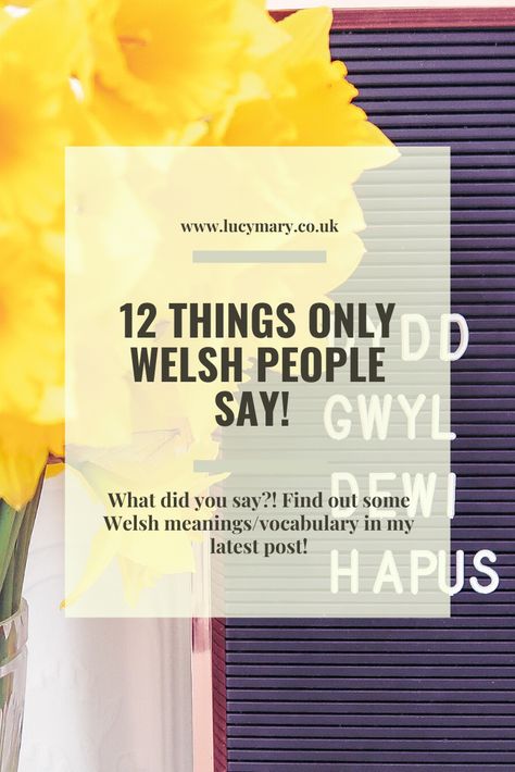 What did you say?! Learn about some Welsh words/vocabulary and what they mean in my latest post! Welsh Words And Meanings, Welsh Swear Words, Welsh Phrases, Welsh National Anthem, Welsh People, Welsh Sayings, Hug Cuddle, Welsh Christmas, Ireland And Scotland