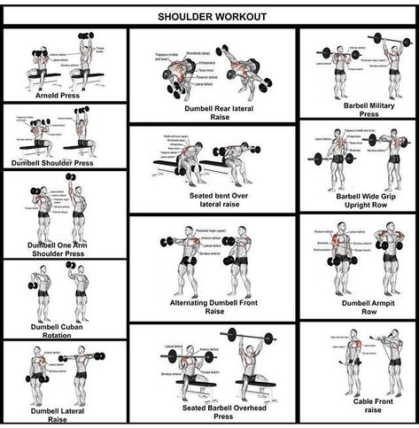 Shoulder workout complete guide Legs And Shoulders Workout At Home, Shoulder Db Workout, Shoulder Circuit Workout, Legs Shoulders Workout, Leg And Shoulder Workout, Full Shoulder Workout, Shoulder Workouts For Men, Chest And Shoulder Workout, Shoulder Workout At Home