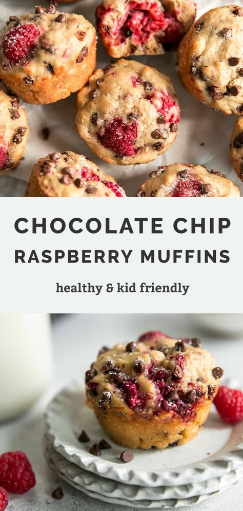 Healthy Raspberry Muffins, Raspberry Chocolate Chip Muffins, Chocolate Raspberry Muffins, Raspberry Chocolate Chip, Thick Yogurt, Yogurt Muffins, Raspberry Yogurt, Perfect Healthy Breakfast, Raspberry Muffins