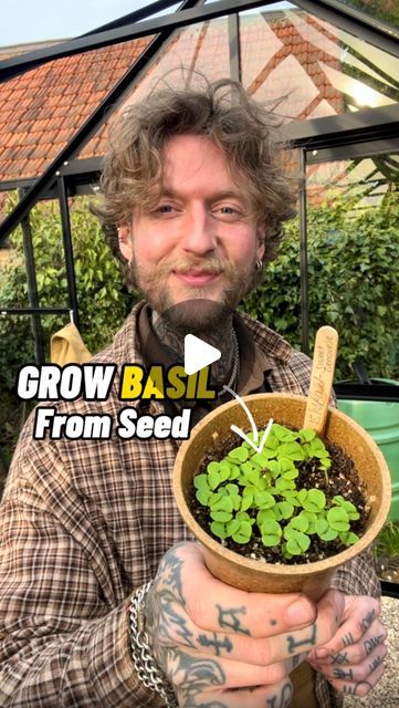 Grow Basil From Seed, How To Grow Basil From Seed, Planting Basil From Seed, Growing Basil From Seed, Grow Basil, Grow From Seed, Growing Basil, Seed Starting Mix, Basil Seeds