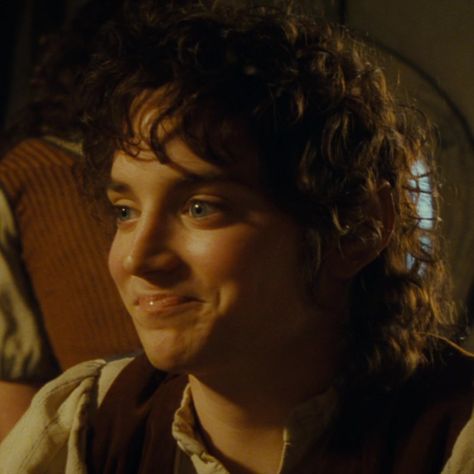 Frodo Baggins Wallpaper, Frodo Baggins Icons, The Lord Of The Rings Aesthetic, Frodo Aesthetic, Frodo Baggins Aesthetic, Lotr References, Shire Aesthetic, Lotr Vibes, 2000s Lookbook