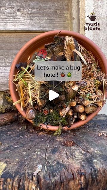 Mud & Bloom on Instagram: "🐞 Make a simple bug hotel! 🐌  Bugs and insects are really important for the plants, soil and animals all around us. They help plants to reproduce, keep our soil healthy and provide food for birds and animals. Insects need to find somewhere out of the rain and cold to spend the autumn and winter. A bug hotel is perfect - insects will love crawling in and finding a tiny corner to snuggle up in!  This bug hotel is really simple to make: you just need a container such as an old plant pot and you can collect the rest of the materials on an autumn’s walk 🍁   We’ve written a blog post with instructions on how to make a bug hotel which you can link to from our profile 👆   #bughotel #insecthotel #wildlifegarden #mudandbloom" Bugs Hotel Ideas, Homemade Bug Hotel, Bug Houses For Kids To Make, Bug Hotel Diy Kids, Bug Hotel Ideas, Bugs Hotel, Diy Bug Hotel, Natural Activities, Bug Houses