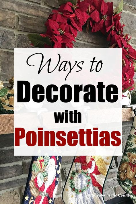 Add some color to your Christmas decor this year with red poinsettias! Here are a bunch of ideas to decorate with poinsettias...from Christmas mantel ideas to poinsettias in containers to poinsetta inspired craft ideas. Visit the blog for more ways to decorate your home with poinsettias! Poinsettia Christmas Tree Ideas, Christmas Tree Decorated With Poinsettia, Poinsettia Decorated Christmas Tree, Poinsettia Mantel Decor, Poinsettia Decorating Ideas Table, Poinsettia Garland Decorating Ideas, Christmas Trees Decorated With Poinsettias, Poinsettias On Christmas Tree, Christmas Ponsietta