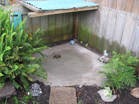 Cement pond inside the turtle pen Tortoise Pond Ideas, Cement Pond, Water Feature Outdoor, Turtle Pool, Turtle Enclosure, Red Footed Tortoise, Outdoor Enclosure, Turtle Aquarium, Tortoise House